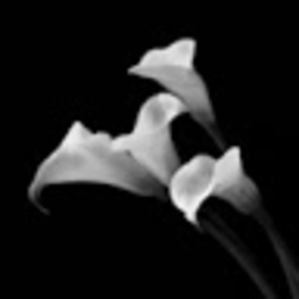 Meet your Posher, Kristin